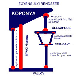 Egyensúlyi rendszer